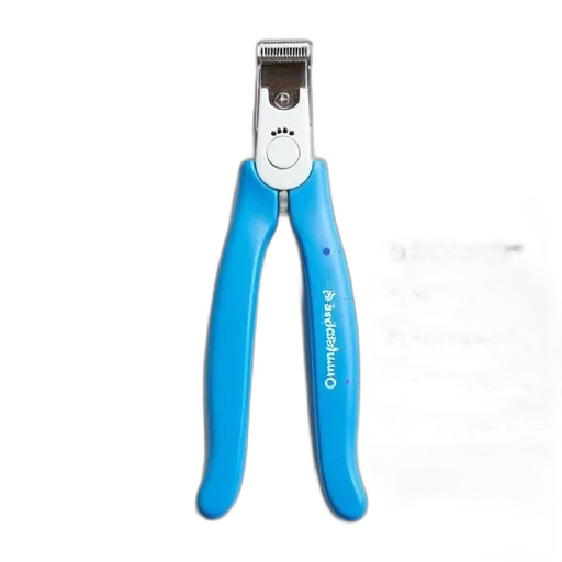 staff, hair, close-up, image transparent PNG cut-out