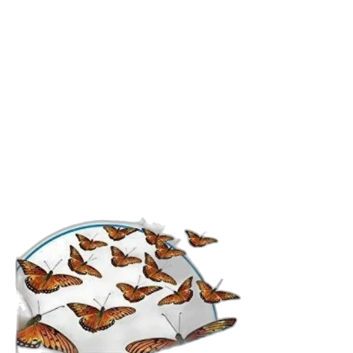shoes, umbrella, animal, weapon transparent PNG cut-out
