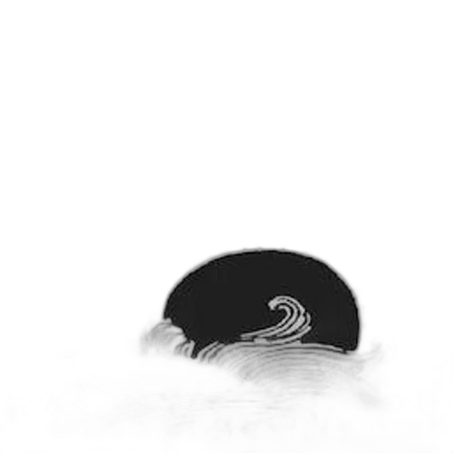 hat, hair, crown, jewelry transparent PNG cut-out