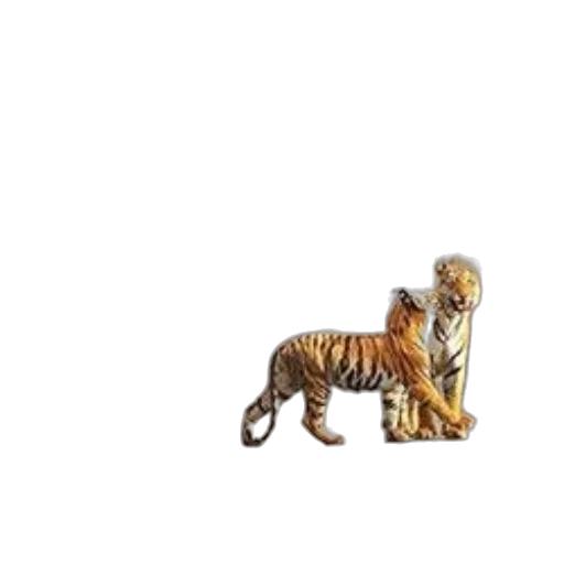animal, creature, staff, furniture transparent PNG cut-out