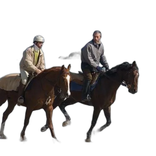 animal, jacket, staff, concept art transparent PNG cut-out