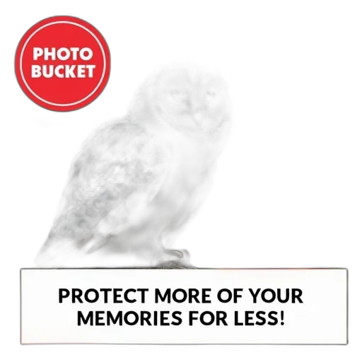 mask, hat, animal, jacket transparent PNG cut-out
