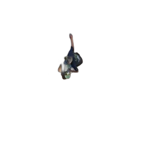 staff, creature, animal, dragon transparent PNG cut-out