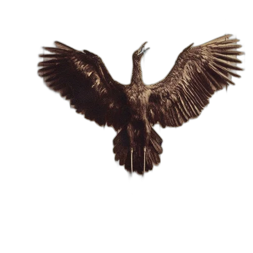 animal, staff, dragon, jacket transparent PNG cut-out
