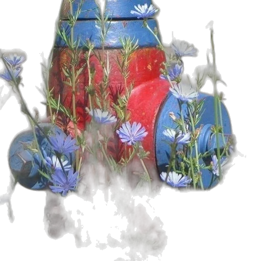 flower, crown, robot, hat transparent PNG cut-out