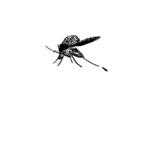 animal, creature, umbrella, dragon transparent PNG cut-out