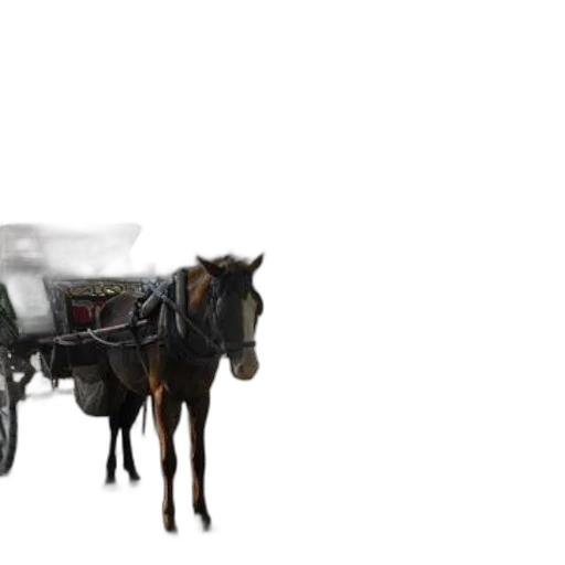 car, animal, furniture, robot transparent PNG cut-out