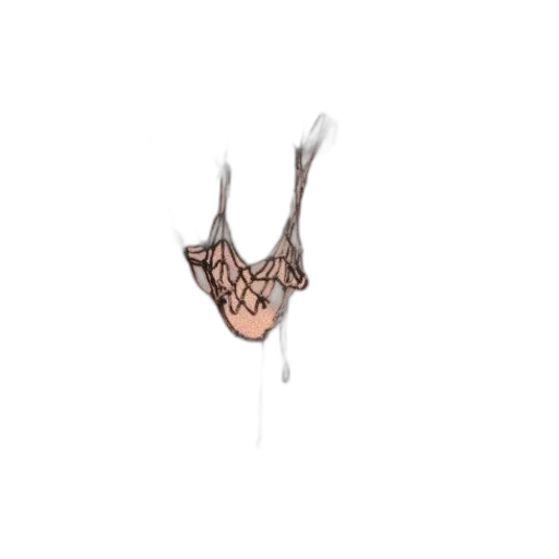 jewelry, crown, mask, hair transparent PNG cut-out