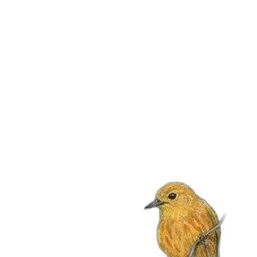 animal, dress, creature, staff transparent PNG cut-out