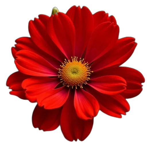 flower, crown, jewelry, staff transparent PNG cut-out