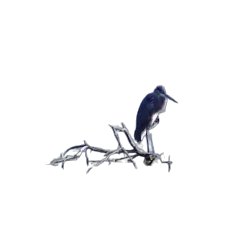 animal, staff, creature, robot transparent PNG cut-out