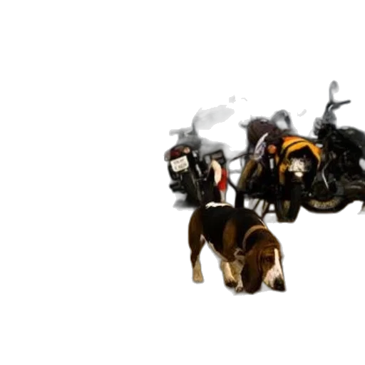animal, weapon, concept art, 3d render transparent PNG cut-out