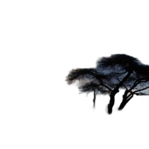 animal, hair, creature, mask transparent PNG cut-out