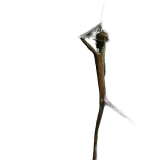 staff, sword, weapon, animal transparent PNG cut-out