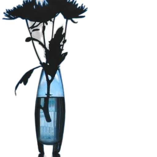 staff, jacket, hair, dress transparent PNG cut-out