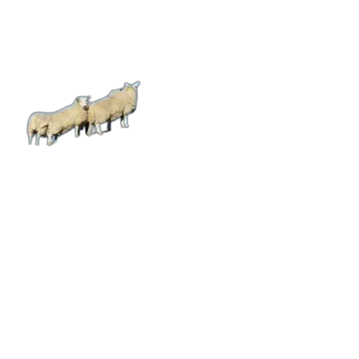 animal, weapon, car, creature transparent PNG cut-out