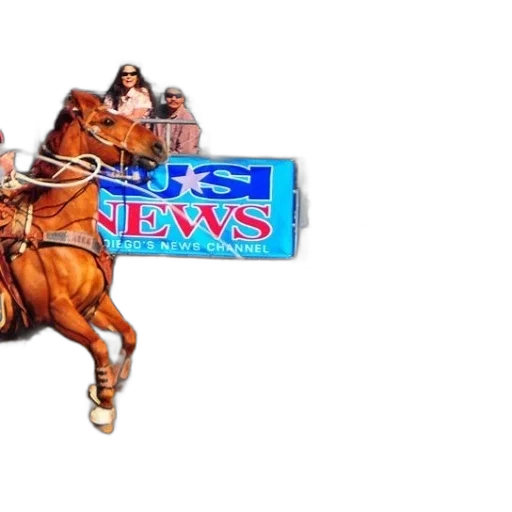 horse, chasing, calf, front transparent PNG cut-out