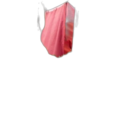dress, jacket, mask, staff transparent PNG cut-out