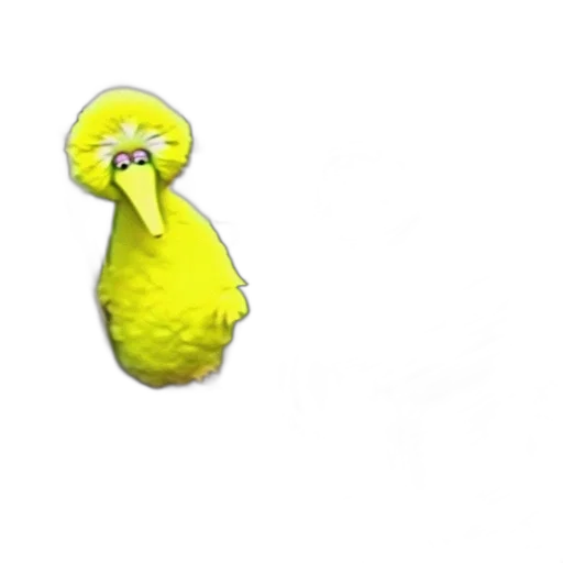 animal, creature, hat, food transparent PNG cut-out