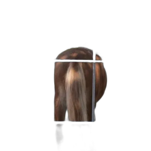 hair, face, crown, hat transparent PNG cut-out