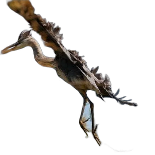 dragon, animal, staff, creature transparent PNG cut-out