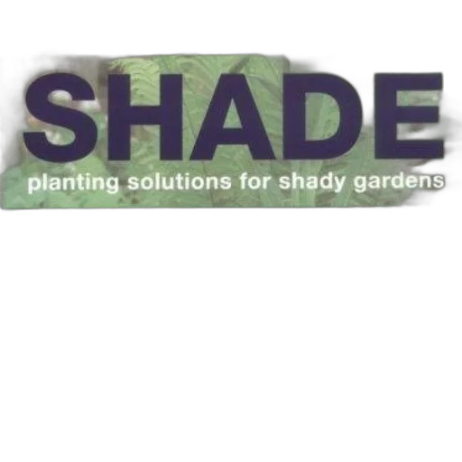 3d render, earth tones, green, shade transparent PNG cut-out