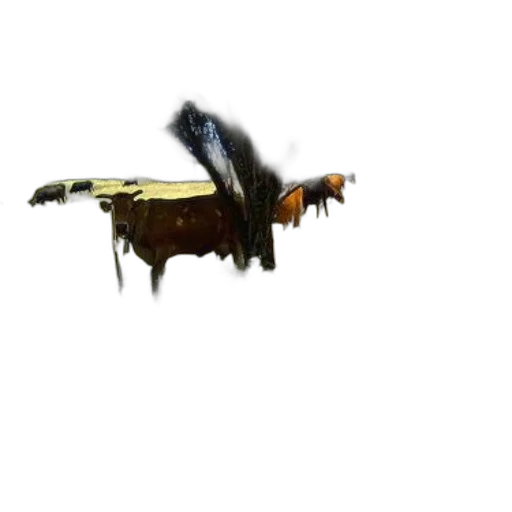 furniture, animal, hair, creature transparent PNG cut-out