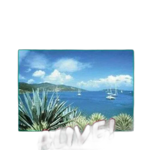 photorealistic, watercolor, oil painting, vaporwave transparent PNG cut-out