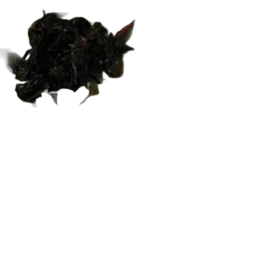 flower, dragon, crown, staff transparent PNG cut-out