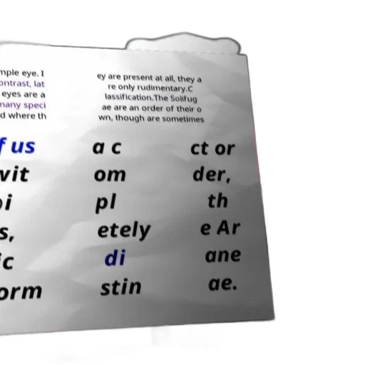 crown, 3d render, poster, text transparent PNG cut-out