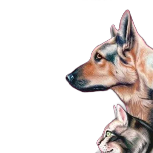 animal, creature, face, watercolor transparent PNG cut-out