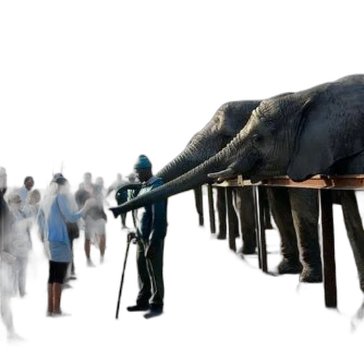 animal, staff, weapon, concept art transparent PNG cut-out