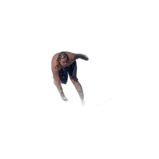 creature, hair, animal, face transparent PNG cut-out