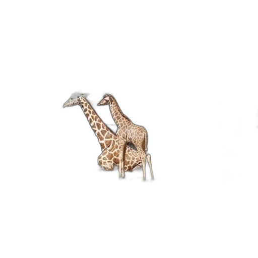jewelry, animal, dragon, weapon transparent PNG cut-out