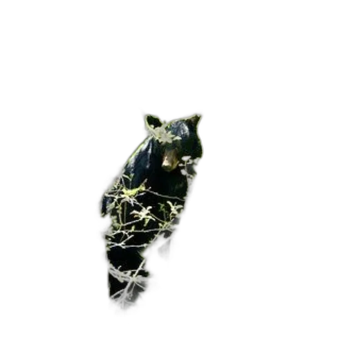 dragon, animal, mask, staff transparent PNG cut-out