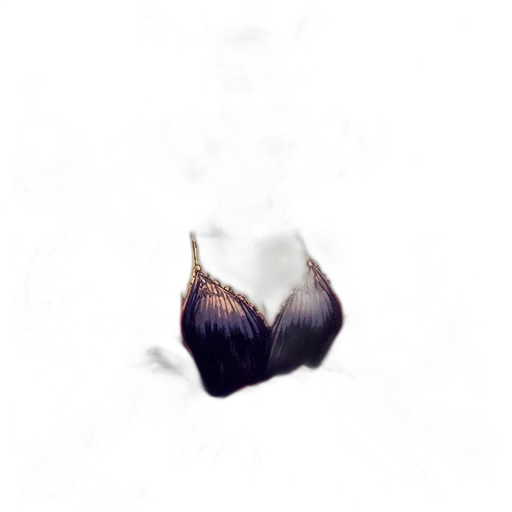hair, crown, flower, food transparent PNG cut-out