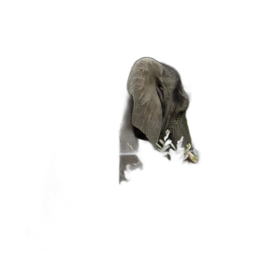 animal, creature, jewelry, staff transparent PNG cut-out