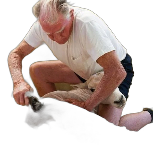 staff, animal, weapon, shoes transparent PNG cut-out
