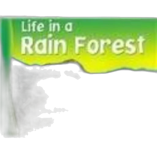 umbrella, tree, jacket, food transparent PNG cut-out