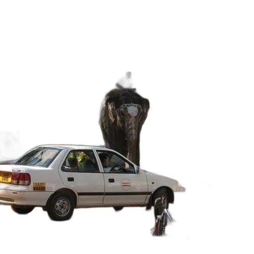 car, robot, weapon, animal transparent PNG cut-out
