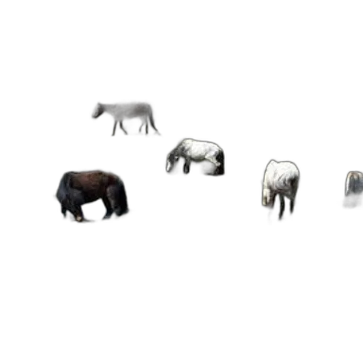 animal, furniture, creature, jewelry transparent PNG cut-out