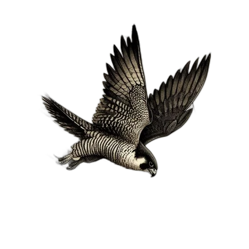 animal, dragon, jewelry, creature transparent PNG cut-out