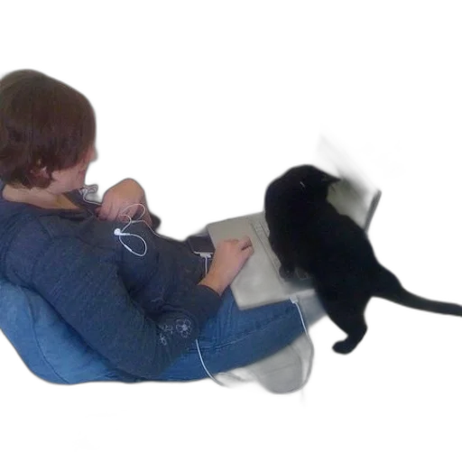 animal, staff, creature, weapon transparent PNG cut-out