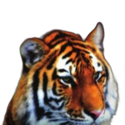 animal, creature, crown, face transparent PNG cut-out