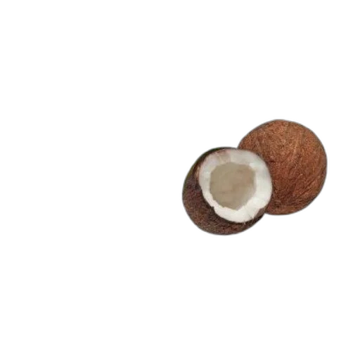 food, hair, tree, hat transparent PNG cut-out