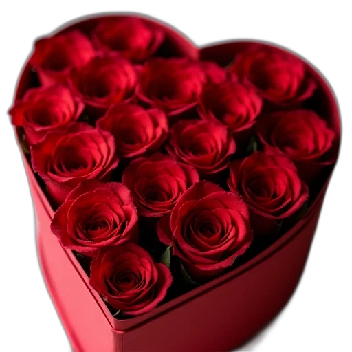 flower, 3d render, photorealistic, red transparent PNG cut-out
