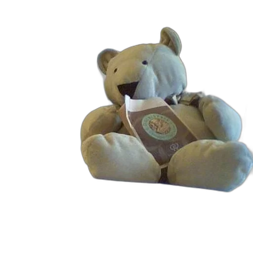 3d render, teddy, bear, sits transparent PNG cut-out