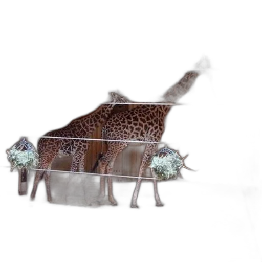 furniture, animal, creature, car transparent PNG cut-out