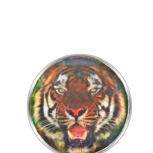 jewelry, animal, photorealistic, 3d render transparent PNG cut-out