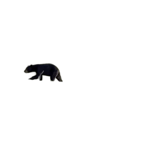 animal, creature, weapon, car transparent PNG cut-out